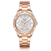 Alexandre Christie Rose Gold Women's Watch 2644BFBRGSL1
