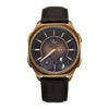 Titan Stellar Brown Men's Watch 10053QL01