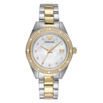 Emporio Armani Mother of Pearl Dial Women's Quartz Analog Watch AR11520