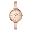 Timex Analog Silver Women Watch TWEL12803