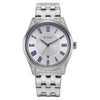 Titan Neo Roman Silver Men's Watch 10063SM01