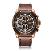 Alexandre Christie Brown Men's Watch 6506MCLROBO