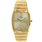 Titan Karishma Gold Men's Watch 9315YM02