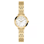 Fossil Heldi Mother Of Pearl Dial Women's Analog Stainless Steel Watch ES5501