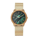 Titan Glamour Green Dial Women's Watch 95331WM01