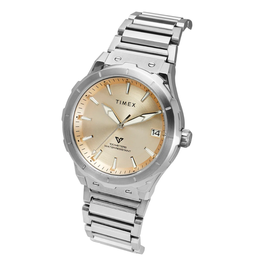 Timex Vector Silver Men Watch TWEG24803
