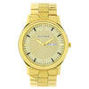 Titan Analog Gold Men's Watch 1650YM04