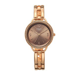 Titan Raga Allure Brown Women's Watch 2791WM01