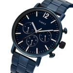 Timex Multifunction Blue Men Watch TWEG20028