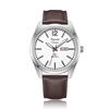 ALEXANDRE CHRISTIE Classic Brown Men's Watch 1012MELSSSLBO