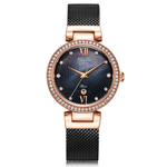 Alexandre Christie Classic Black Women's Watch 2754LHBBRMA