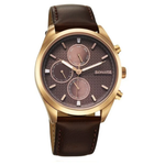 Sonata Magna Brown Dial Men's Watch 7155WL01