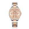 Alexandre Christie Rose Gold Women's Watch 2B85BFBTRLN