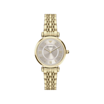 Emporio Armani Grey Dial Analog Stainless Steel Women's Watch AR11766