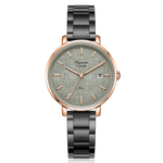 Alexandre Christie Classic Black Women's Quartz Watch 2870LDBGRDG1