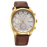 Sonata Magna Silver Dial Men's Watch 7155YL01