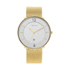 Titan Black & Gold Men's Watch NT1849YM01