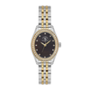 Santa Barbara Polo & Racquet Club Brown Dial Women's Analogue Watch SB.1.10620-5