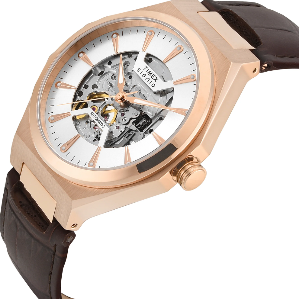 Timex Signio Silver Men Watch TWEG33900