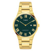 Timex Green Dial Men Watch TWEG23608