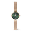 Daniel Wellington Petite Green Women's Watch DW00100742K