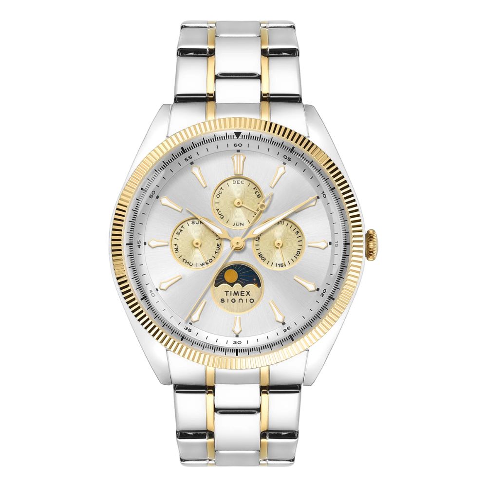 Timex Signio Silver Men Watch TWEG34401