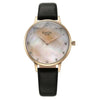 Titan Raga Showstopper Black Women's Watch NU95274WL02