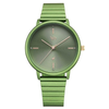 Fastrack Vyb Bliss Green Dial Girls' Watch FV60021KM06W