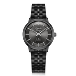 Alexandre Christie Classic Black Women's Watch 8692LHBIPBA
