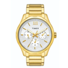 TIMEX Empera Gold Men Watch TW0TG7604