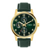 Timex Green Dial Men Watch TWEG18907