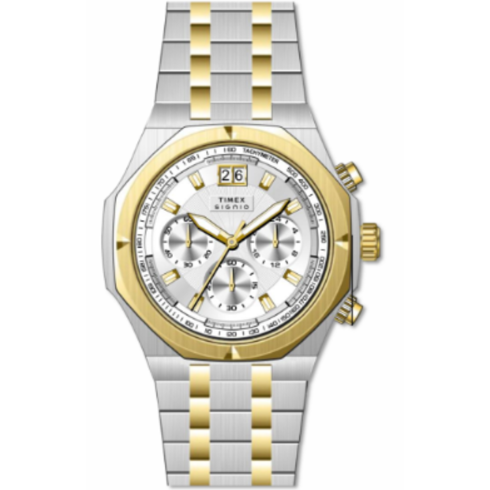 Timex Chronograph Silver Dial Men's Watch TWEG36400