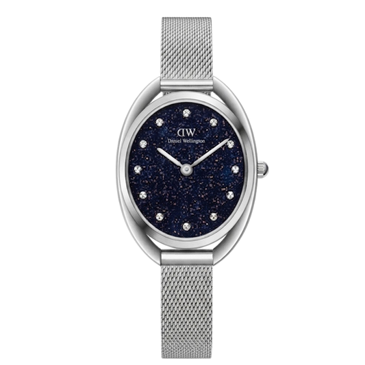Daniel Wellington Silver Women's Watch DW0DL2200