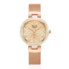 Alexandre Christie Classic Rose Gold Women's Watch 2C07LDBRGLNGN