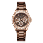 Alexandre Christie Brown Women's Watch 2644BFBROBO1
