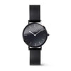 DANIEL WELLINGTON Petite Mirror Silver Women's Watch DW00100798K