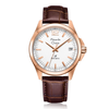 Alexandre Christie Classic Brown Men's Watch 1031MDLRGSL