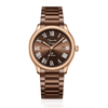 Alexandre Christie Classic Brown Men's Watch 1042MDFROBO