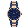 TIMEX Blue Men Watch TWEG23607