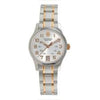 Victorinox Alliance Silver Men's Watch 241324