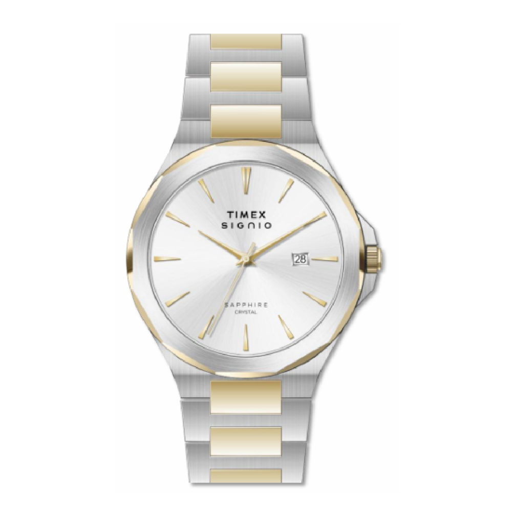 Timex Signio Silver Dial Men's Watch TWEG36901