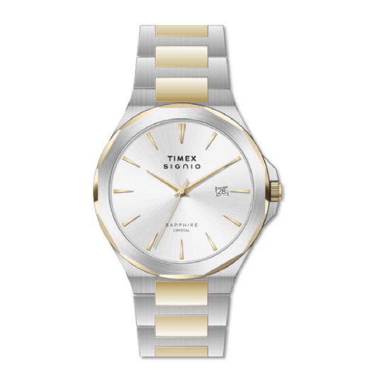 Timex Signio Silver Dial Men's Watch TWEG36901