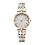 Titan Work Mode Silver Women's Watch 95351KM01