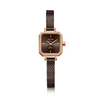 Alexandre Christie Classic Brown Women's Watch 2B36LHBROBO