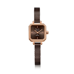 Alexandre Christie Classic Brown Women's Watch 2B36LHBROBO