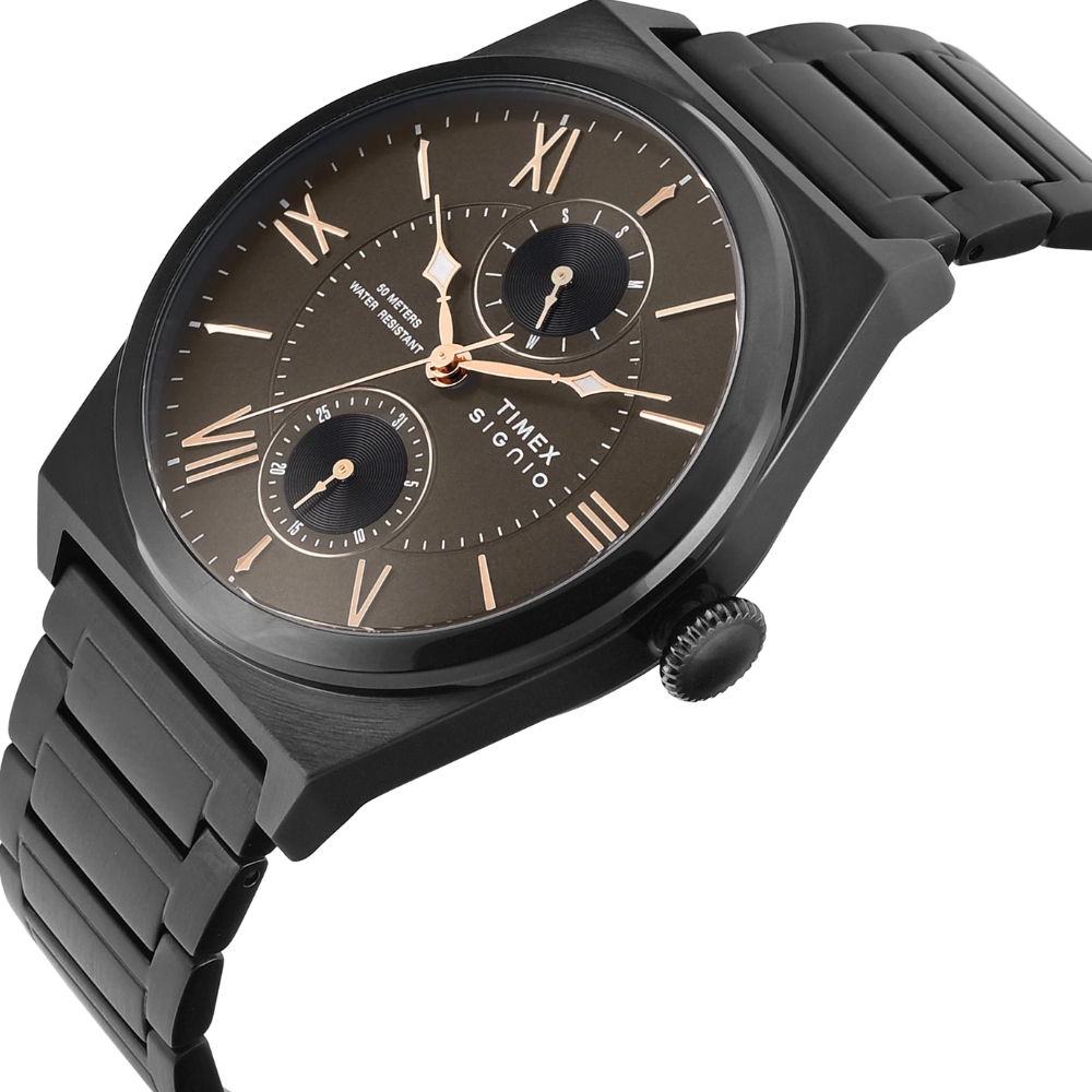 Timex Signio Brown Men Watch TWEG34502