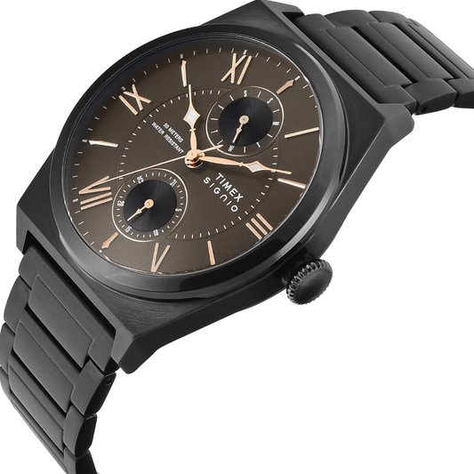 Timex Signio Brown Men Watch TWEG34502