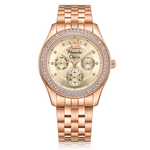 Alexandre Christie Multi-Function Rosegold Women's Watch 2496BFBRGLN