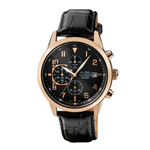 ALBA Active Black & Gold Dial Men's Watch AM3A14X1