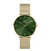 Daniel Wellington Petite Green Unisex Watch DW00100481K